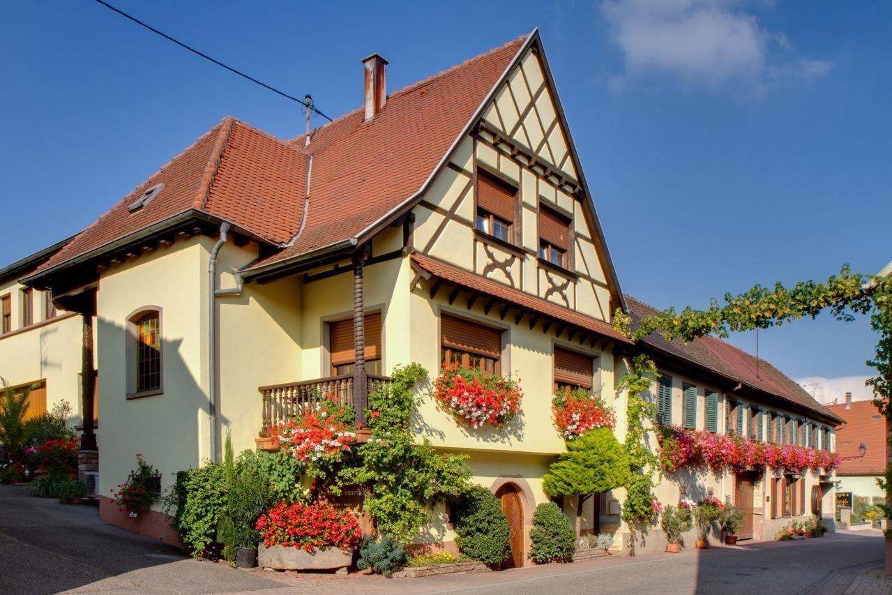 Gite Fleur De Vignes Itterswiller Exterior photo